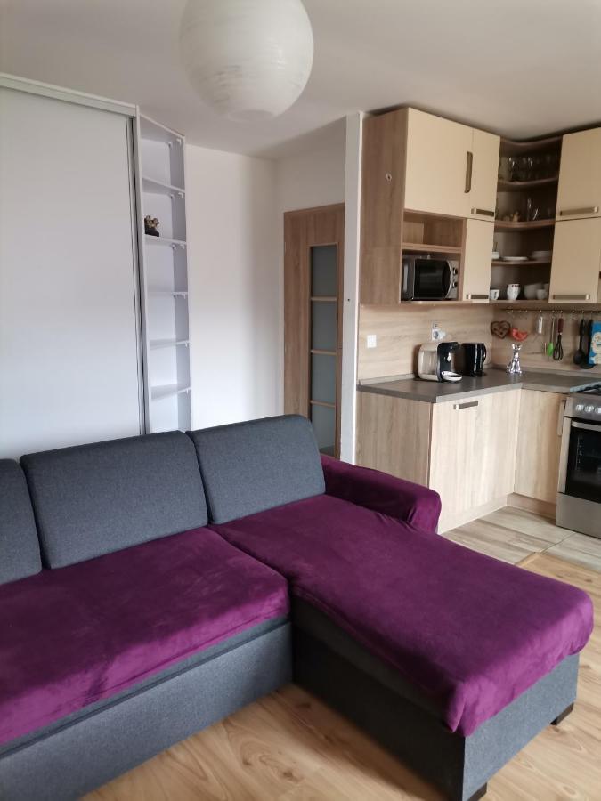 Apartman Family S Vyhladom Na Choc Lúčky Buitenkant foto